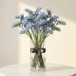 STATICE ستاتيس