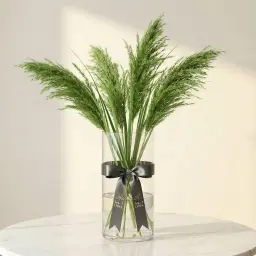 PAMBAS GRASS بامباس 