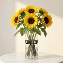 SUNFLOWER دوار الشمس
