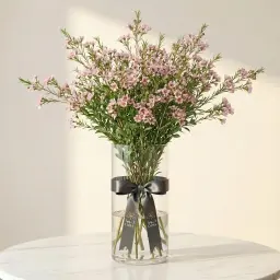 WAX FLOWER واكس فلور