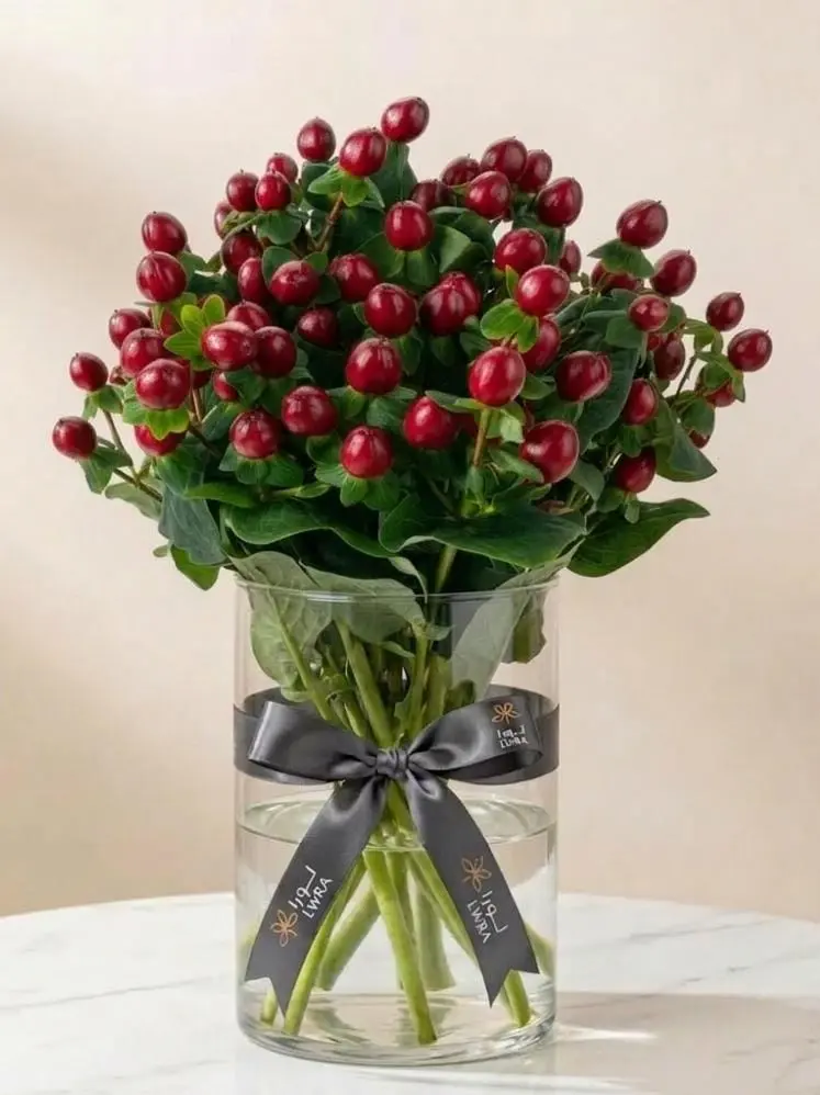 HYPERICUM هيبركم