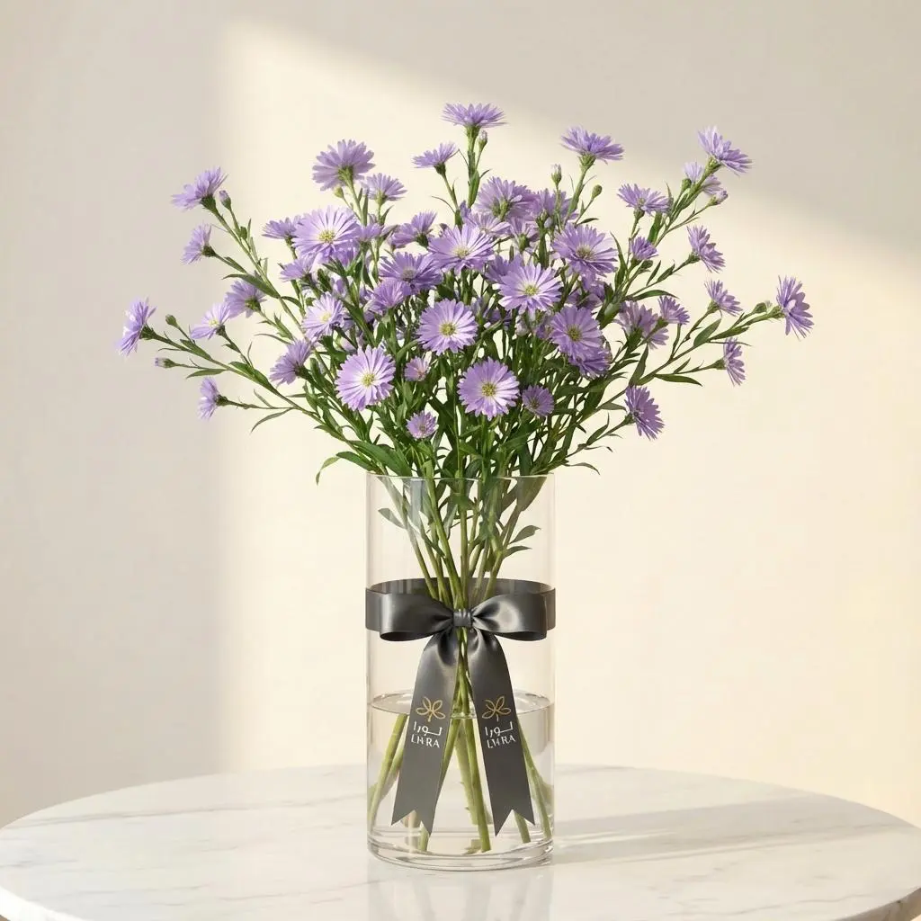 ASTER أستر