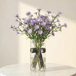 ASTER أستر